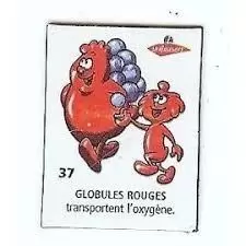 Magnets Le Gaulois Il était une fois la vie : Le corps humain - Magnet Globules rouges