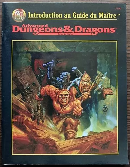 Advanced Dungeons & Dragons - 2ème édition - Introduction au guide du maître
