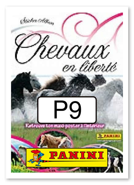 Référence P9 - image Chevaux en liberté