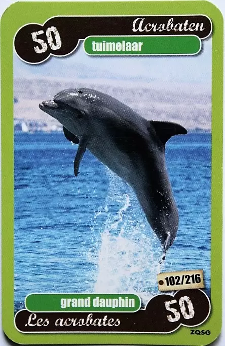 Les Héros de notre planète - Grand dauphin