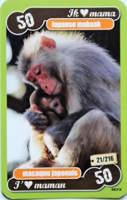 Les Héros de notre planète - Macaque japonais