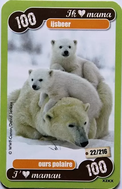 Les Héros de notre planète - Ours polaire