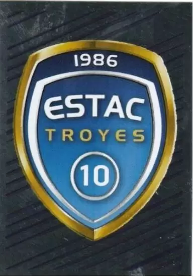 Foot 2013-2014 - Ecusson - ESTAC Troyes
