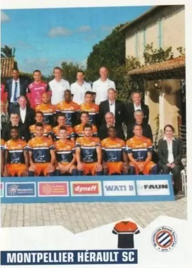 Foot 2013-2014 - Equipe (puzzle 2) - Montpellier Herault SC