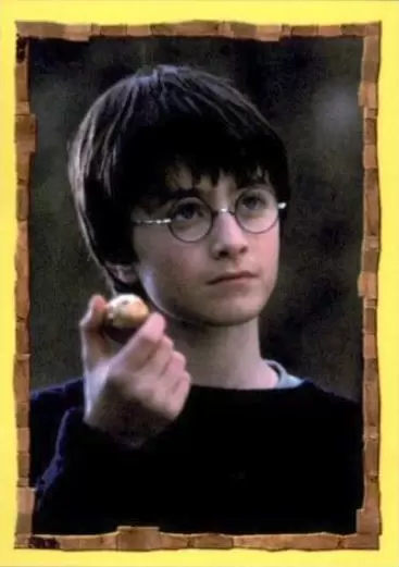 Harry Potter à l’école des Sorciers - Image n°192