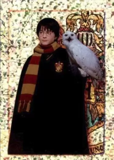 Harry Potter à l’école des Sorciers - Image n°203
