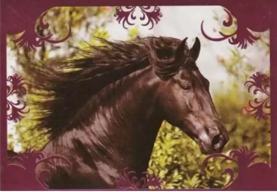 Un amour de cheval - Image E