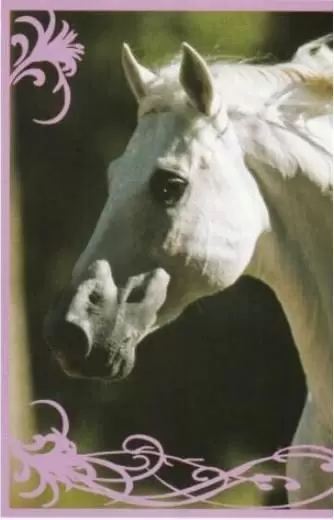 Un amour de cheval - Image n°144