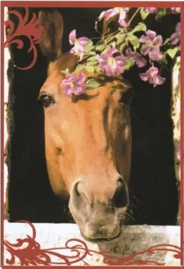 Un amour de cheval - Image n°29