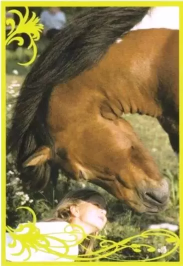 Un amour de cheval - Image n°60
