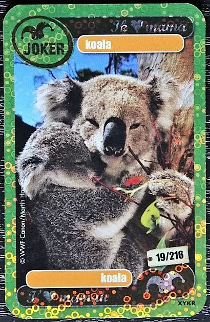Les Héros de notre planète - Koala