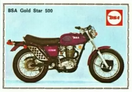 Super Moto - BSA   GOLD  STAR 500