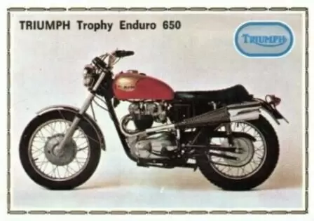 Super Moto - TRIUMPH     TROPHY   ENDURO    650