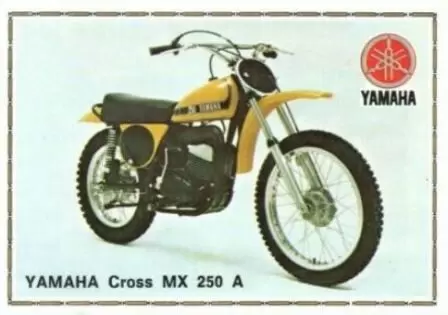 Super Moto - YAMAHA     CROSS     MX    250   A