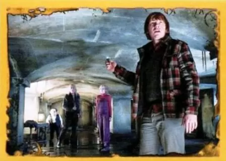 Harry Potter 7 et les Reliques de la Mort (partie2) Panini 2011 - Image n°25