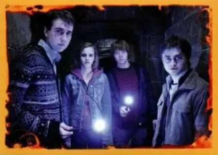 Harry Potter 7 et les Reliques de la Mort (partie2) Panini 2011 - Image n°63