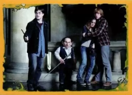 Harry Potter 7 et les Reliques de la Mort (partie2) Panini 2011 - Image n°71