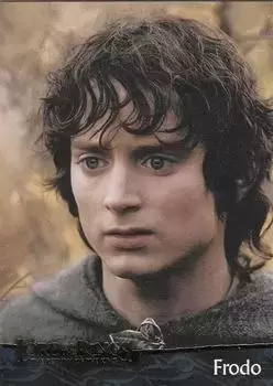 The Lord of the Rings The Return of the King - Frodo - Hobbit - The Characters
