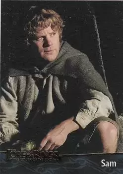 The Lord of the Rings The Return of the King - Sam - Hobbit - The Characters