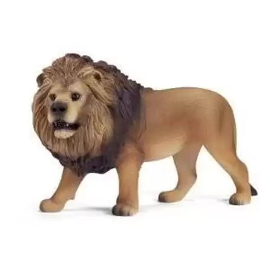Wild Life - Lion