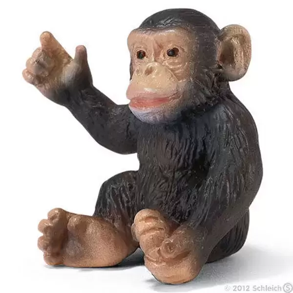 Wild Life - Bébé chimpanzé