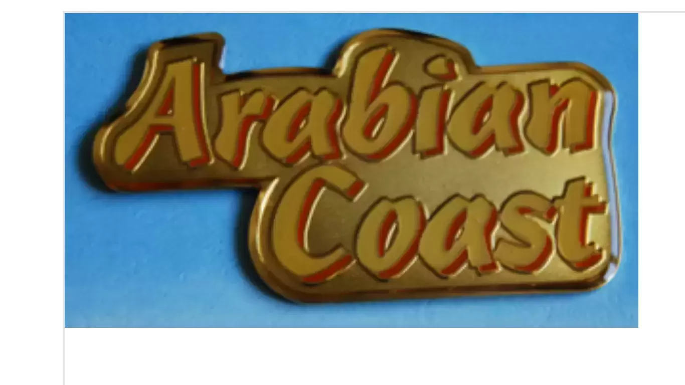 Disney Pins Open Edition - Arabian Coast Framed Pin Set (Title)