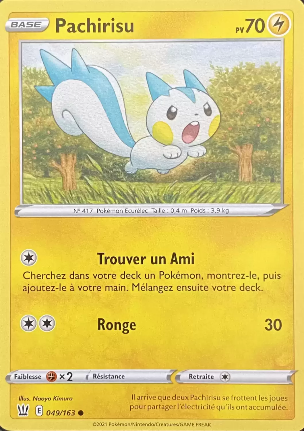 Styles de Combat - Pachirisu
