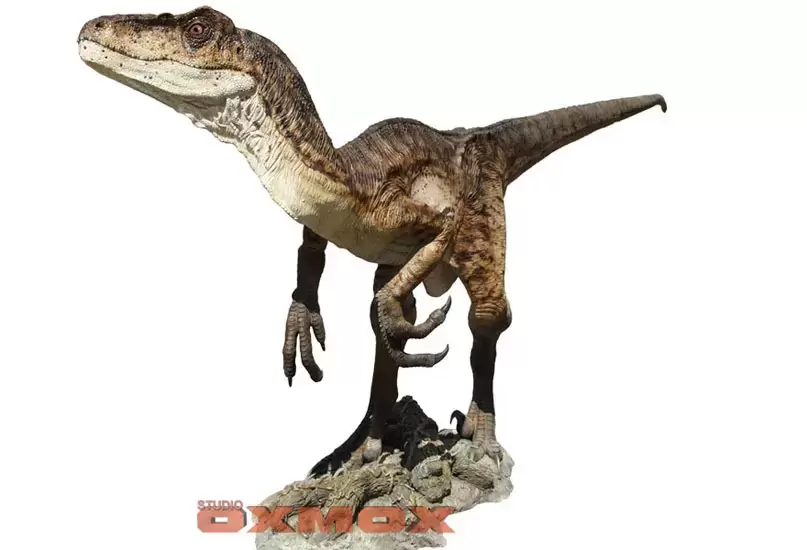 Oxmox - Raptor Deinonychus II