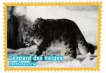 Animaux - A la découverte du monde animal 2014 - Léopard des neiges