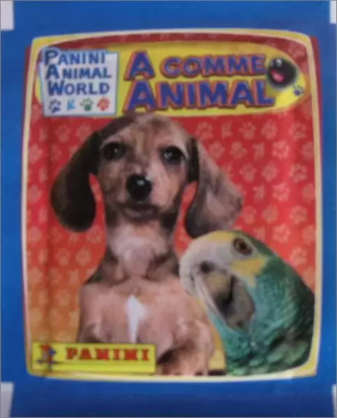 A comme Animal - Pochette 4
