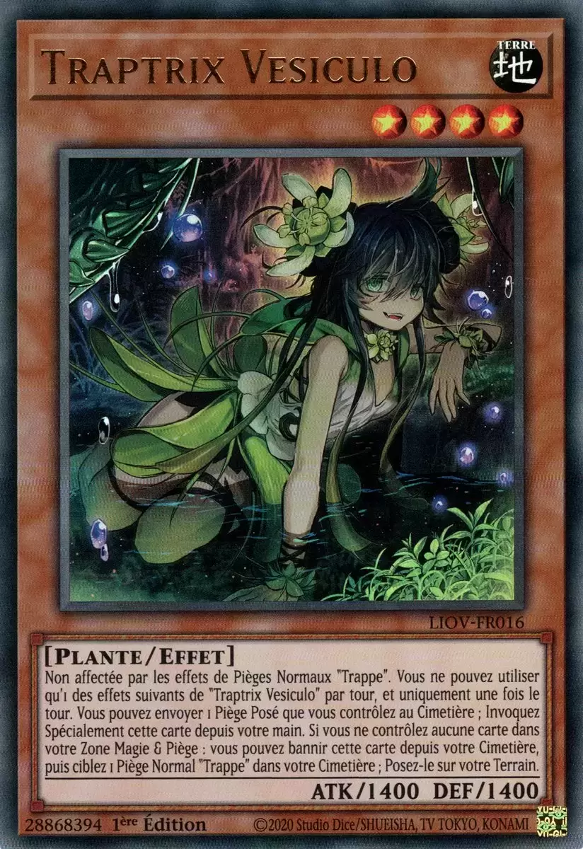 Foudre Amplifiée LIOV - Traptrix Vesiculo