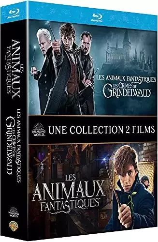 Harry Potter & Fantastic Beasts - Les Animaux fantastiques : 2 films