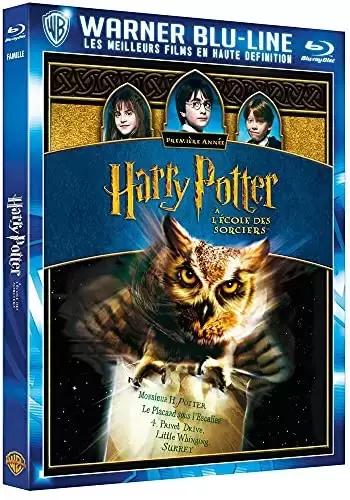 Harry Potter & Fantastic Beasts - Harry potter à l\'école des sorciers - Edition spéciale [Blu-ray]