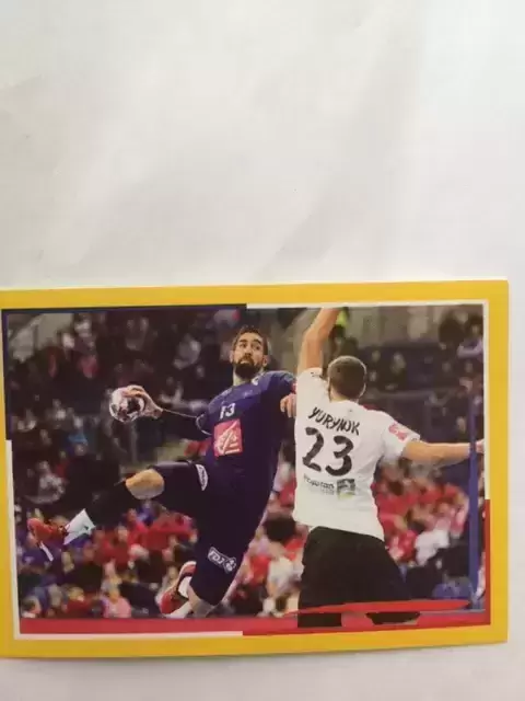 Handball France 2017 - Nikola Karabatic