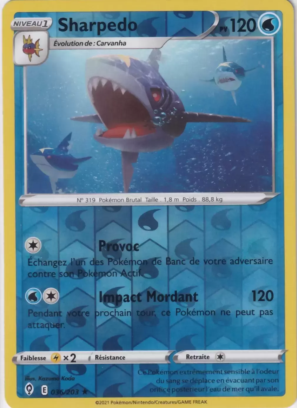 Évolution Céleste - Sharpedo Reverse