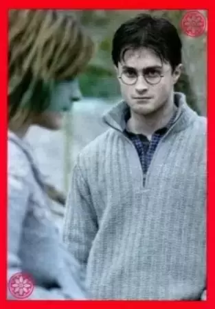 Harry Potter et les Reliques de la Mort (Partie 1) - Image n°179