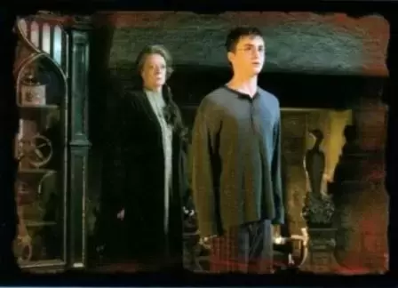 Harry Potter et l’Ordre du Phénix - Image n°149