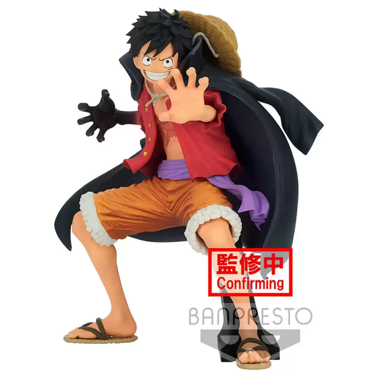 One Piece Monkey D. Luffy and Trafalgar Law 5th Anniversary