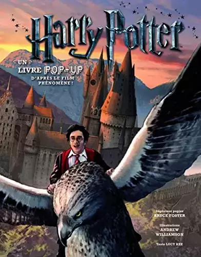 Livres Harry Potter et Animaux Fantastiques - Harry Potter: Un livre pop-up d\'après le film phénomène !
