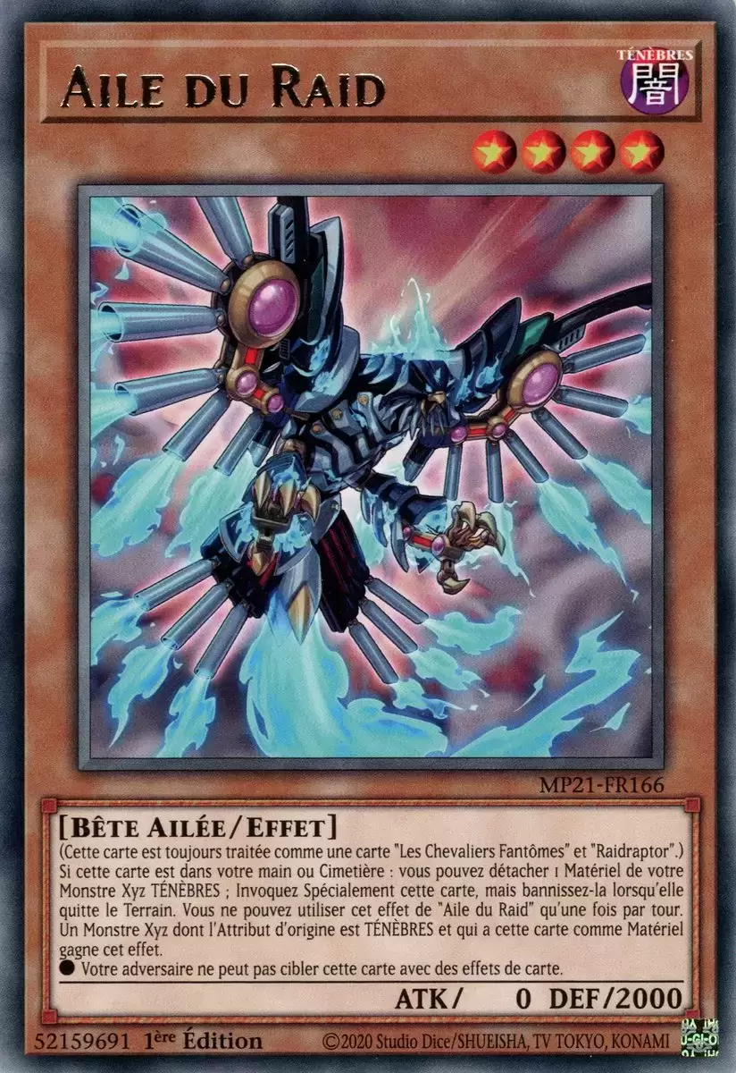Mega Pack 2021 MP21 - Aile du Raid