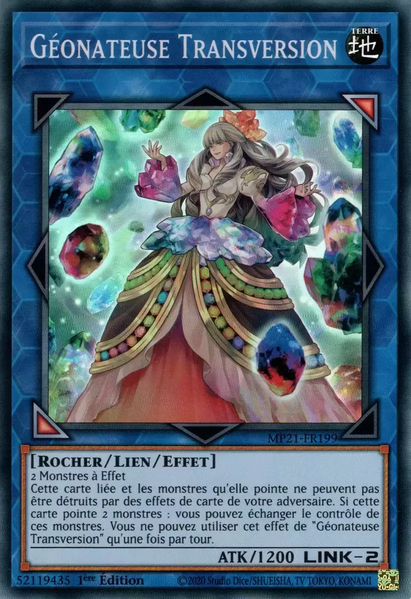 Mega Pack 2021 MP21 - Géonateuse Transversion
