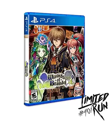 PS4 Games - Wizards Of Brandel Limited Run