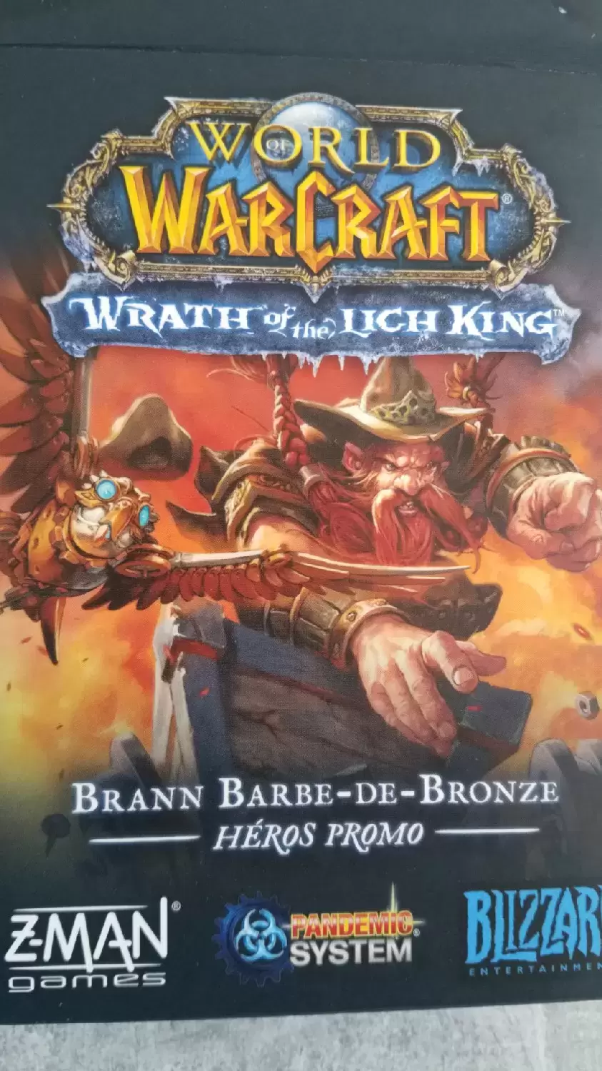 Autres jeux - World of WarCraft - Brann Barbe-De-Bronze  (Wrath of the Lich King)