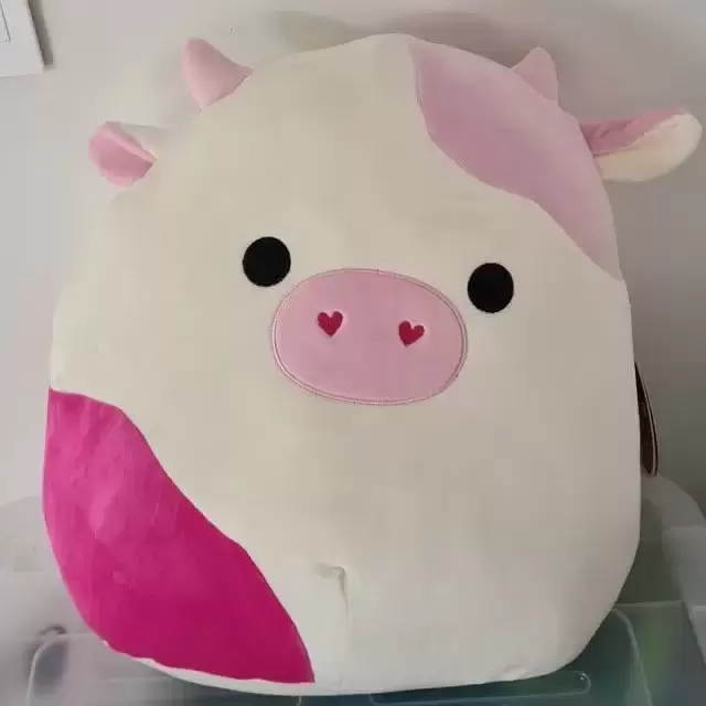 Original Squishmallows - caedyn squishmallow “12