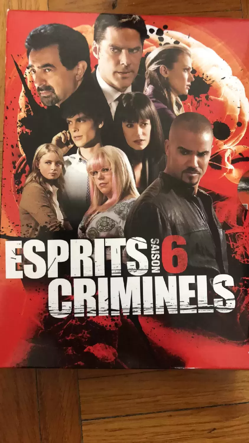 Esprits criminels - Esprits Criminels Saison 6