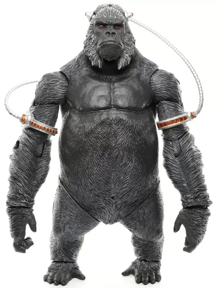 DC Universe - Classics Wave 02 - Gorilla Grodd