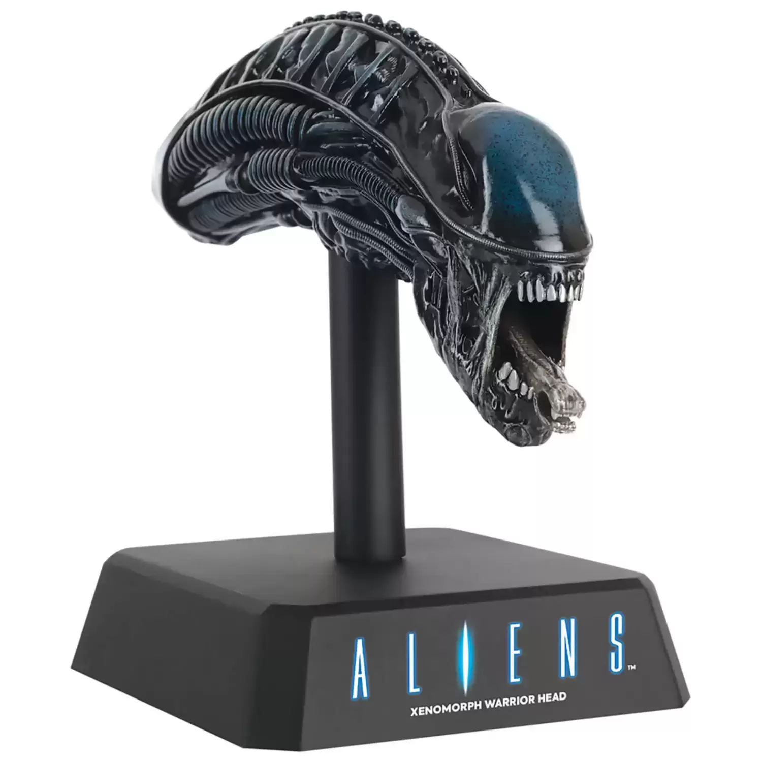 The Alien & Predator Figurine Collection - Aliens - Xenomorph Warrior Head