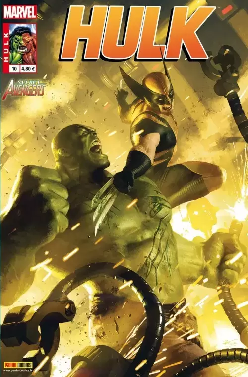 Hulk - 8ème Série Panini Marvel - Remplir un trou noir