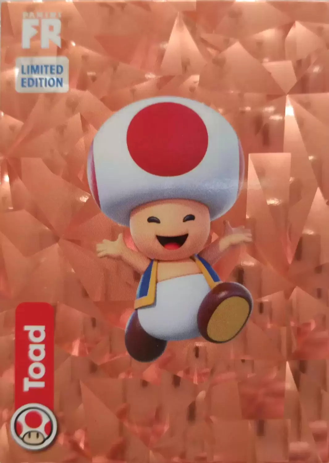 Super Mario Nintendo -2022 - Toad