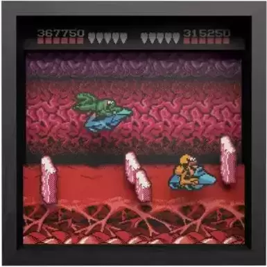 Pixel Frames - Battletoads Turbo Tunnel